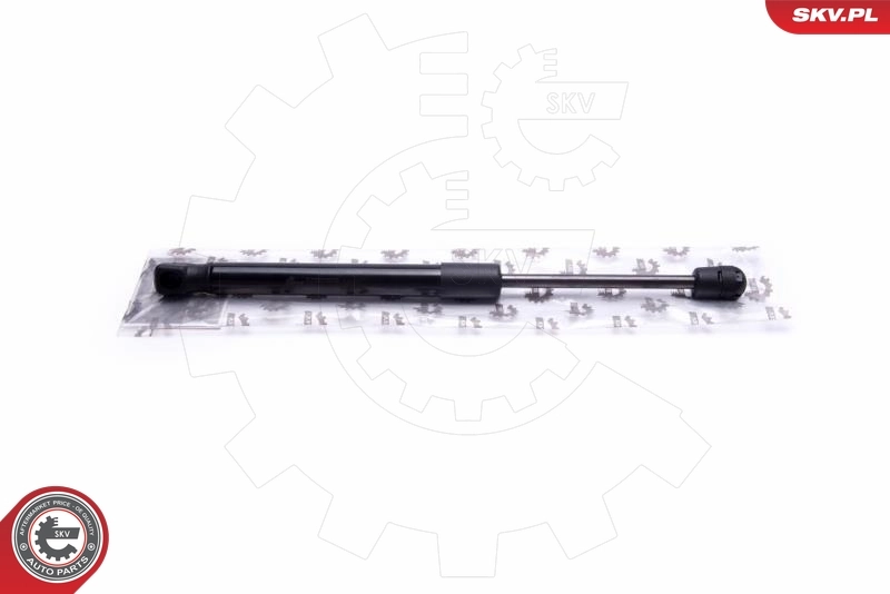 Gas Spring, boot/cargo area